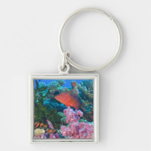 Schulung Fairy Basslets (Pseudanthias Schlüsselanhänger