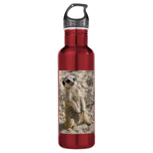Schulung vor Ort Trinkflasche