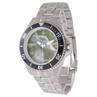 Schuppen (Balaeniceps rex) Armbanduhr