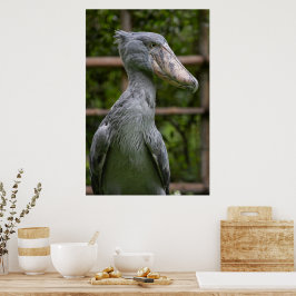 Schuppen (Balaeniceps rex) Poster