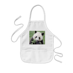 Schürze Foto Riesenpanda, Tiere 0085.