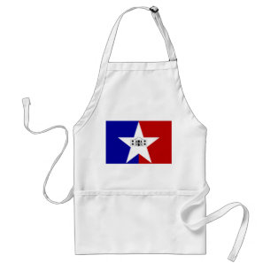 Schürze mit der Flagge von San Antonio City, USA