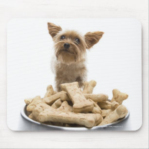 Schüssel HundeLeckereien durch Yorkshire-Terrier Mousepad