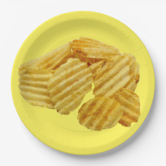 Schüssel Kartoffelchip-WegwerfpapierTeller Pappteller