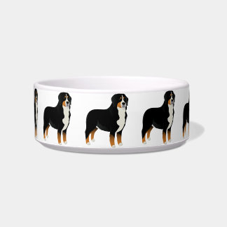 Schüssel mit Bernese Gebirgshund