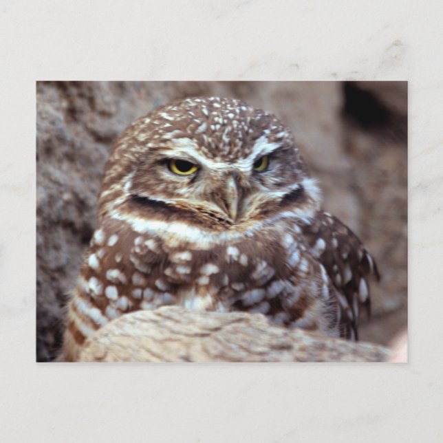 Schüssel Postkarte (Vorderseite)