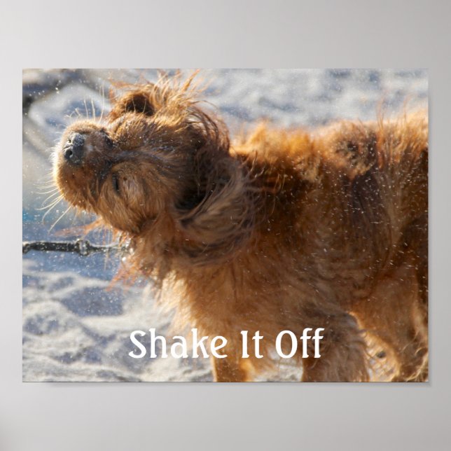 Schütteln Poster (Vorne)