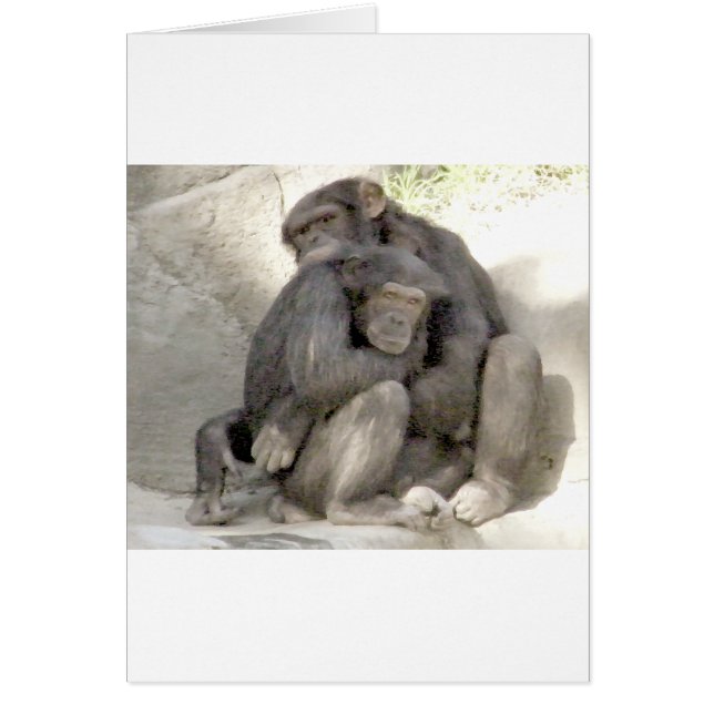 Schutz der Liebe_ (Vorne)