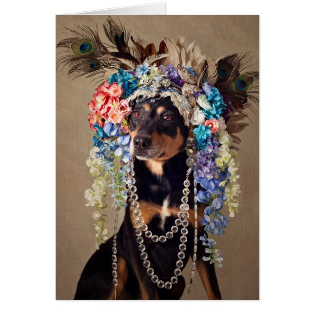 Schutz-Haustier-Projekt - Mitternacht (Vorne)