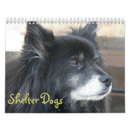 Schutz verfolgt Kalender