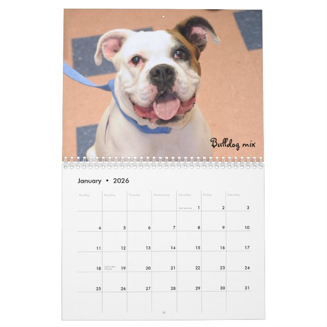 Schutz verfolgt Kalender (Jan 2026)