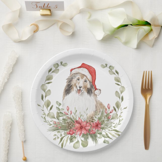 Schutzeinrichtungen in einer Weihnachtsmannmütze Pappteller (Hochzeit)