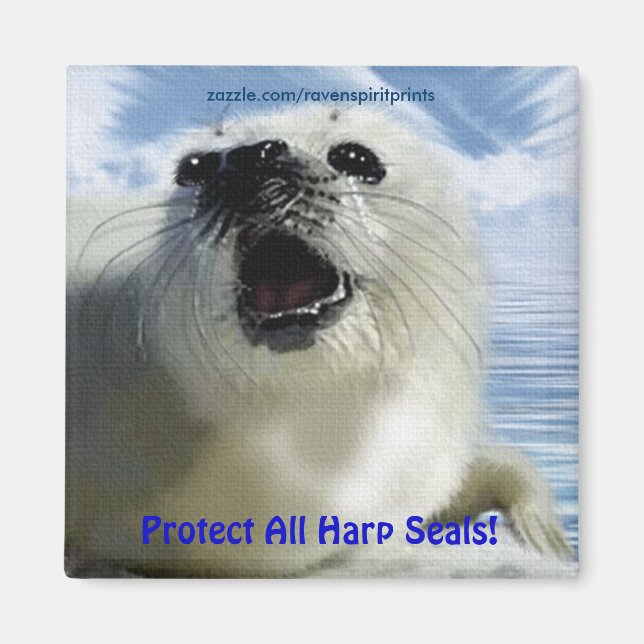 Schützen Sie alle HarfenSiegel! Niedlich Wildlife  Magnet (Vorne)