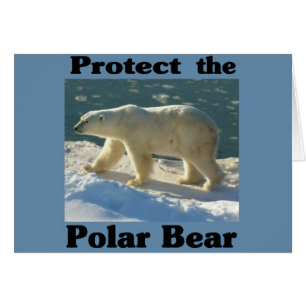 Schützen Sie den Polarbär