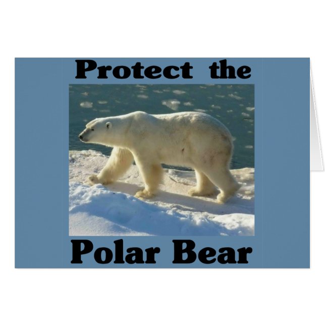Schützen Sie den Polarbär (Vorderseite (Horizontal))