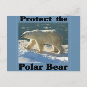 Schützen Sie den Polarbär Postkarte