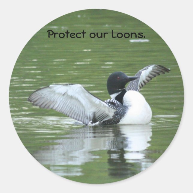 Schützen Sie unsere Loon Stickers (Vorderseite)