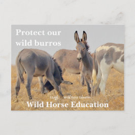 Schützen Sie unsere Wildtiere Postkarte
