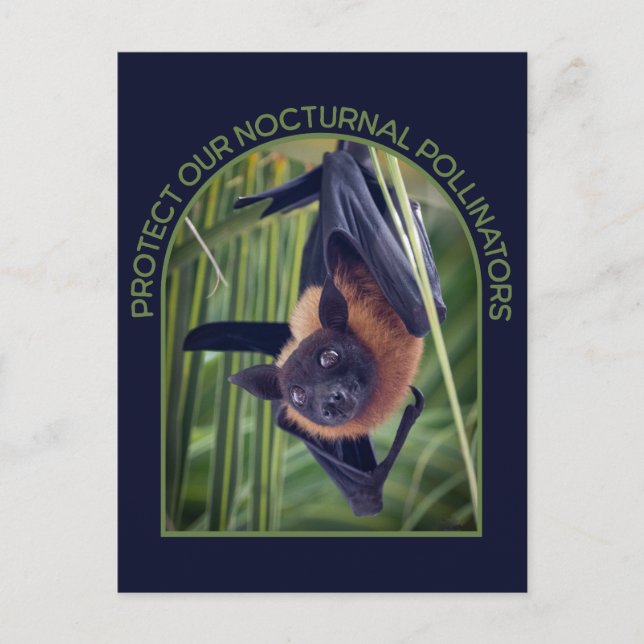 Schützen von Fledermäusen Postkarte (Vorderseite)