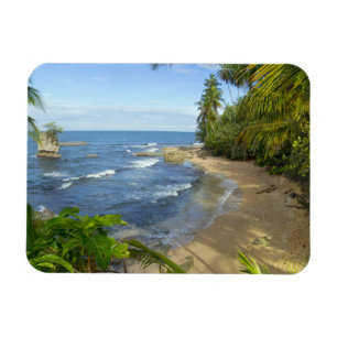 Schutzgebiet Costa Ricas, Manzanillo Magnet