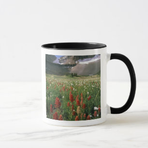 SCHUTZGEBIET MOUNT TIMPANOGOS, UT, US, TASSE
