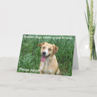 Schutzhunde machen große Freunde 7703