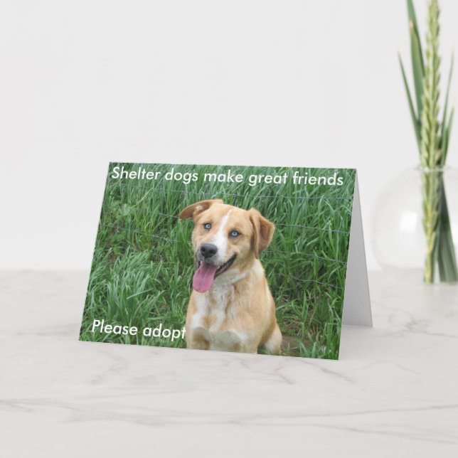 Schutzhunde machen große Freunde 7703 Karte (Vorderseite)