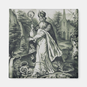 Schutzpatron von St. Patrick in Irland Magnet