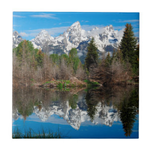Schwabacher Landing, Grand Teton Fliese