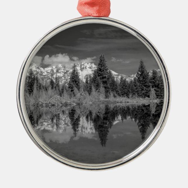 Schwabacher Landung Ornament Aus Metall (Vorne)