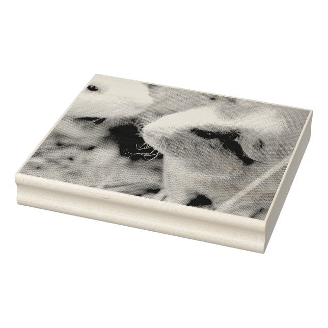 schwach gummistempel (Stempel)