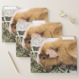 schwach papiermappe