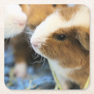 schwach rechteckiger pappuntersetzer