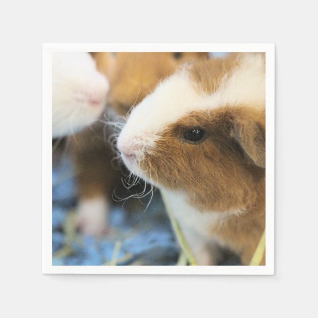 schwach serviette (Vorderseite)