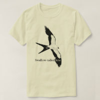 Schwalbe-angebundener Drachen - Juli 2018