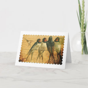 Schwalben, Geburtstag Karte