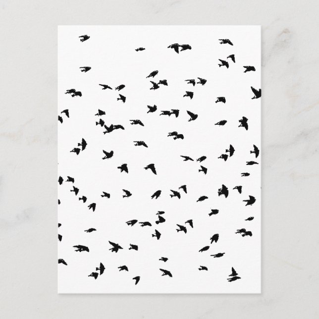 Schwalben in der Vogeldruckmaschine Postkarte (Vorderseite)