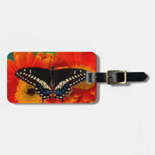 Schwalbenschwanz Schmetterling auf Gerbera Gänsebl Gepäckanhänger
