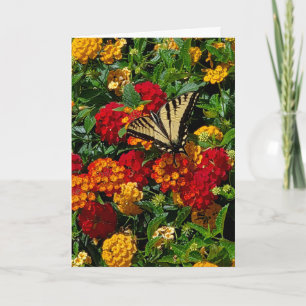 Schwalbenschwanz Schmetterling auf Lantana Grußkar Karte