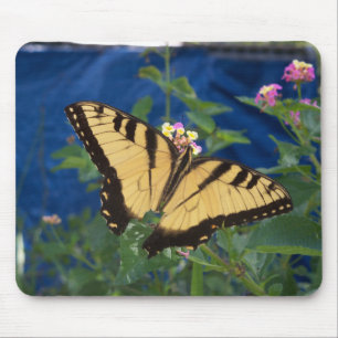 Schwalbenschwanz Schmetterling gelb und schwarz Mousepad