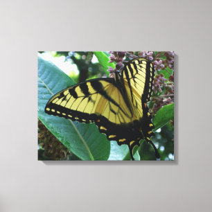 Schwalbenschwanz Schmetterling I auf Seidenpflanze Leinwanddruck