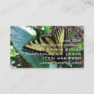 Schwalbenschwanz Schmetterling I auf Seidenpflanze Visitenkarte