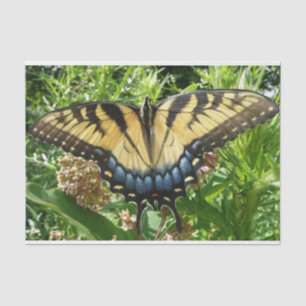 Schwalbenschwanz Schmetterling II in Shenandoah Seidenpapier