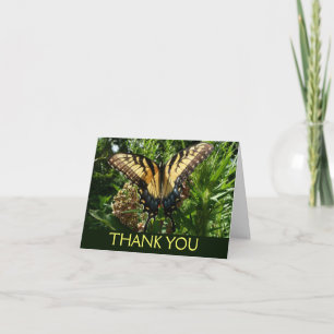 Schwalbenschwanz Schmetterling III Schönes Farbige Dankeskarte
