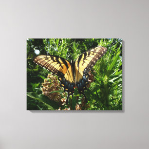 Schwalbenschwanz Schmetterling III Schönes Farbige Leinwanddruck