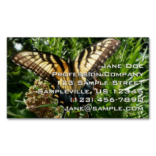 Schwalbenschwanz Schmetterling III Schönes Farbige Magnetische Visitenkarte
