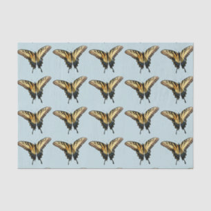 Schwalbenschwanz Schmetterling III Schönes Farbige Seidenpapier