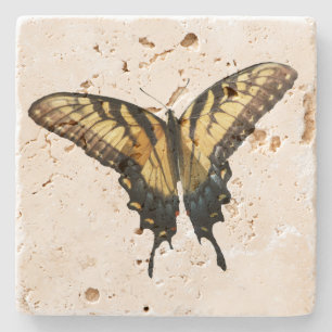 Schwalbenschwanz Schmetterling III Schönes Farbige Steinuntersetzer