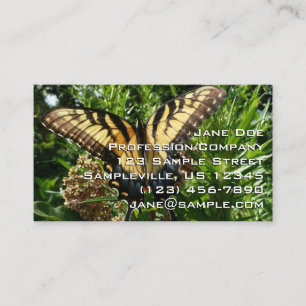 Schwalbenschwanz Schmetterling III Schönes Farbige Visitenkarte