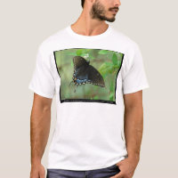 Schwalbenschwanz Schmetterling - Liebesgeschenke &
